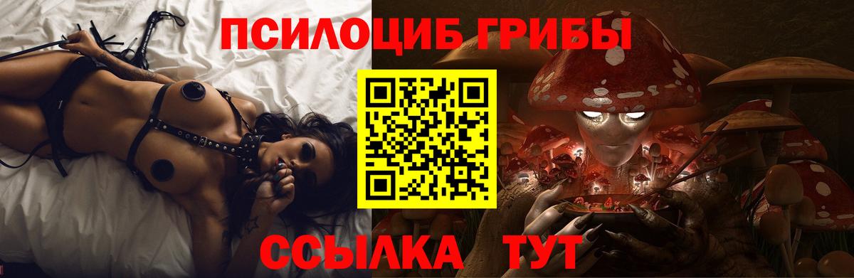 Галлюциногенные грибы MAGIC MUSHROOMS Луга